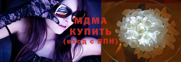 индика Алексин