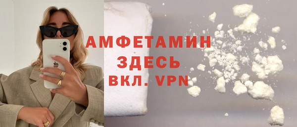 индика Алексин