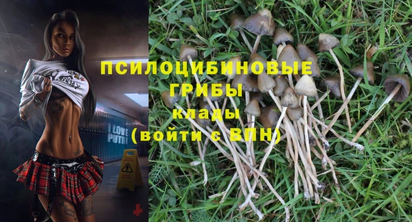 бутират Алзамай