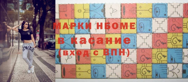 индика Алексин