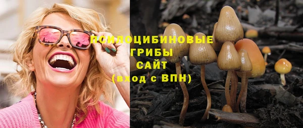 mix Бутурлиновка