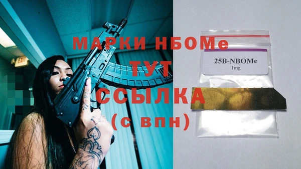 индика Алексин