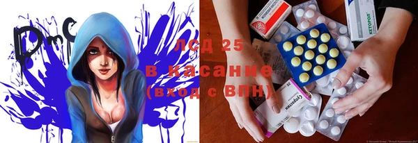 индика Алексин