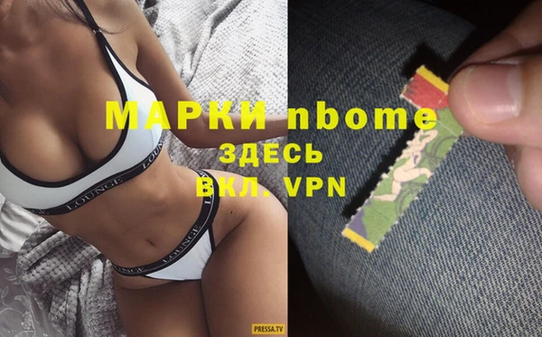 индика Алексин